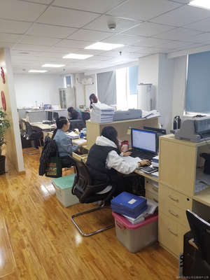 上海顺泽财务咨询 专业财务咨询服务的领先选择