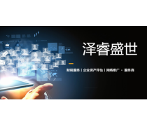 天津普辉财务咨询 一站式代办执照与专业财务解决方案