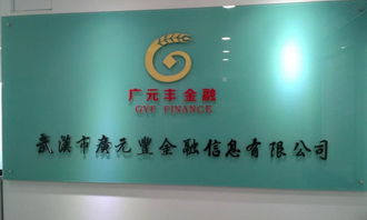 武汉广元丰金融信息财务咨询服务 打造企业财务健康新生态