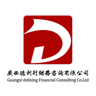 南宁项目会计 广西德利行财务咨询的专业解读