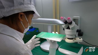 日韩贸易战引爆NAND与DRAM双涨效应，财务咨询视角分析